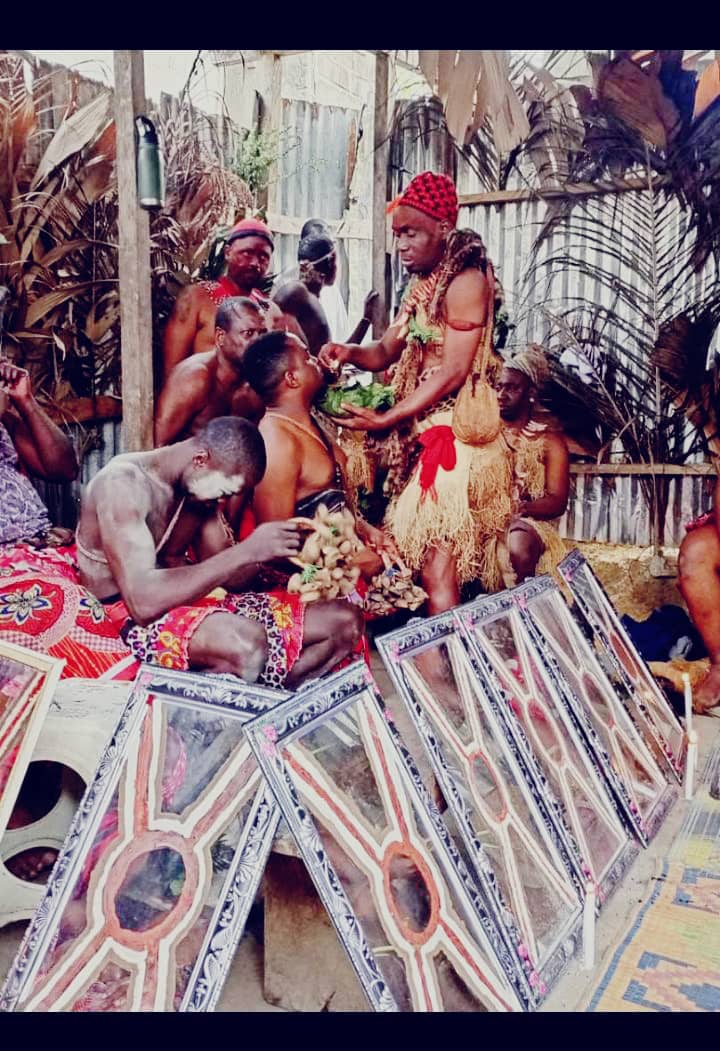 Traditional consultation and plant remedy given by Maître Ghetsotso